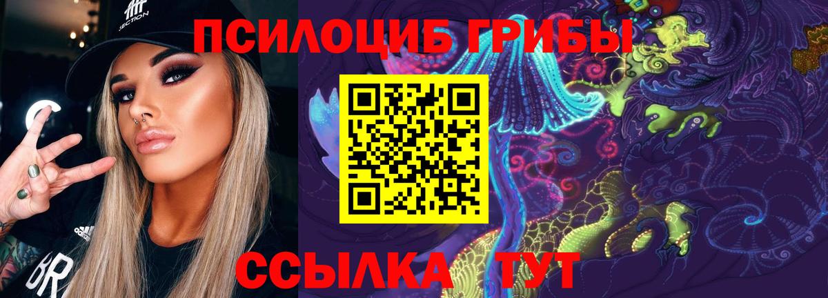закладка  Псилоцибиновые грибы ЛСД  Псилоцибиновые грибы Cubensis  Вход с VPN  Борзя 