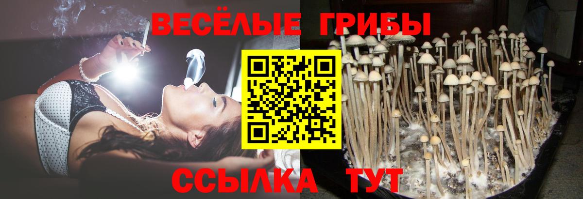 Псилоцибиновые грибы Magic Shrooms Борзя