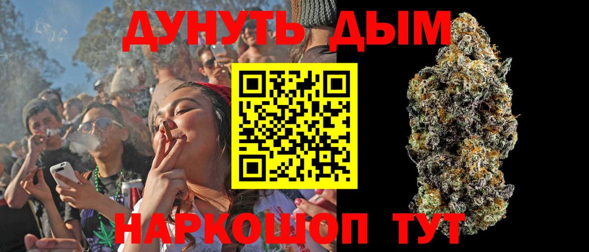 Бошки Шишки планчик Борзя